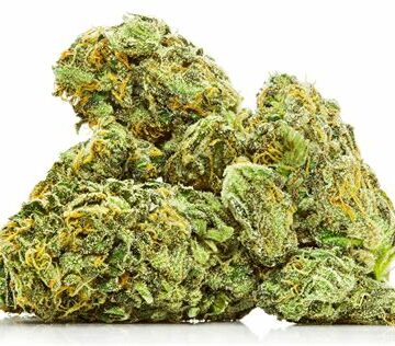 L’Histoire de la Marijuana aux États-Unis : Une Réflexion sur les Pratiques Raciales et les Transformations Récentes