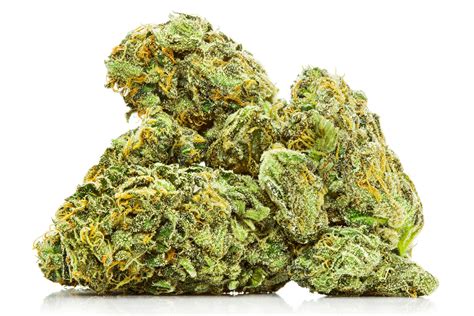 L’Histoire de la Marijuana aux États-Unis : Une Réflexion sur les Pratiques Raciales et les Transformations Récentes
