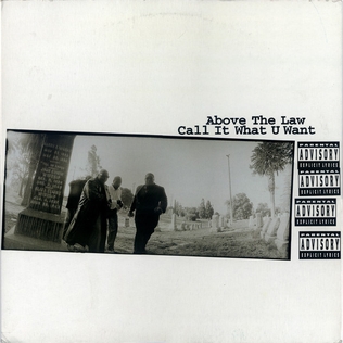 Above The Law ft. 2Pac & Money B – Call It What U Want (1992) : un classique G-Funk sous-estimé