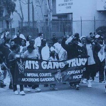 NES DANS LES CENDRES DE SOUTH CENTRAL – AUX ORIGINES DES CRIPS ET DES BLOODS Retour aux origines des Crips et des Bloods Ă South Central Los Angeles. Avant la violence et les couleurs, une jeunesse livrĂ©e Ă elle-mĂŞme qui va marquer l’histoire urbaine.